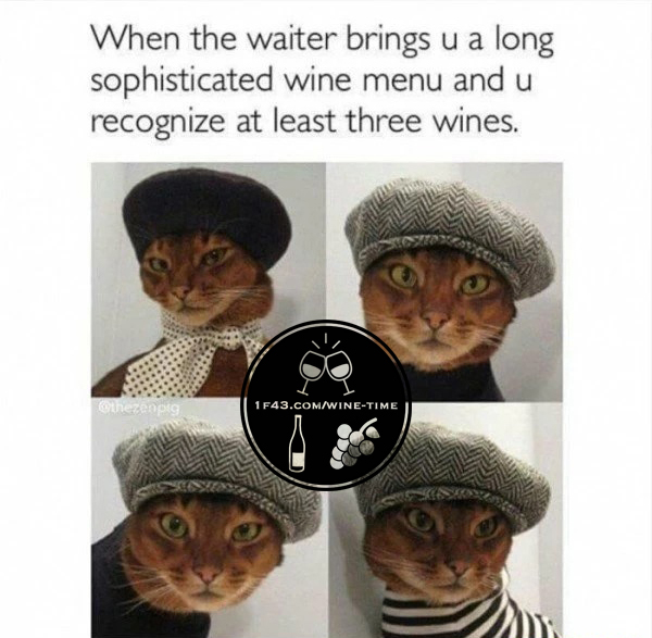 wine memes